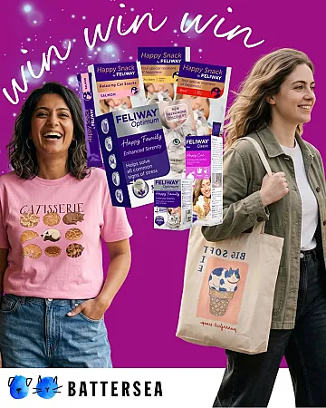 Prize image for Win a cat bundle