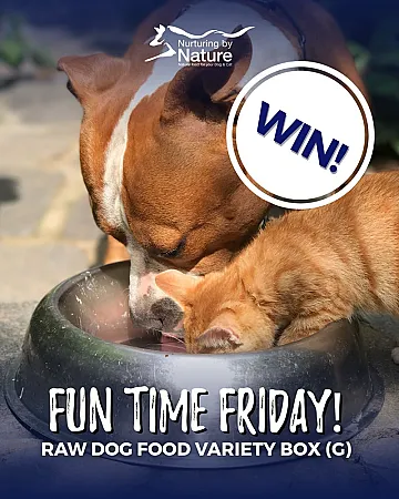Win a Raw Dog Food Bundle