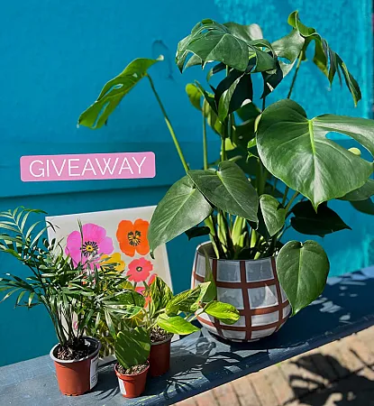 Prize image for Win a £100 Plant Bundle