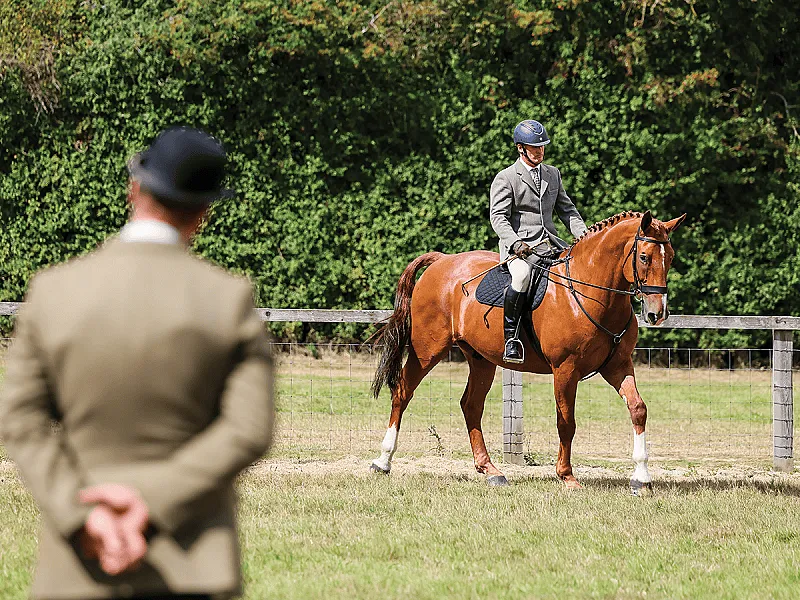 Win a showing masterclass