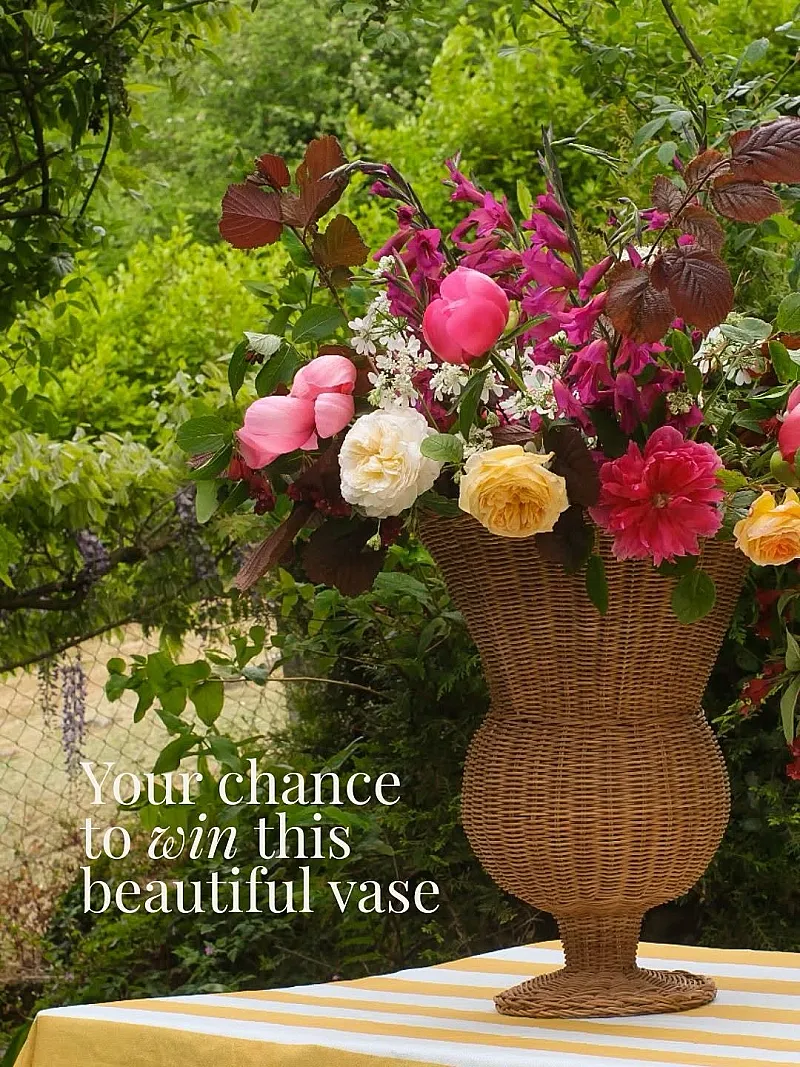 Win a Large Woven Rattan Urn Vase