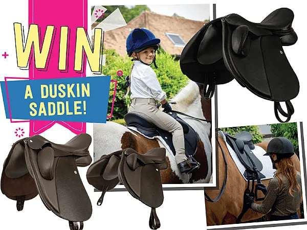 Prize image for Win a Duskin saddle