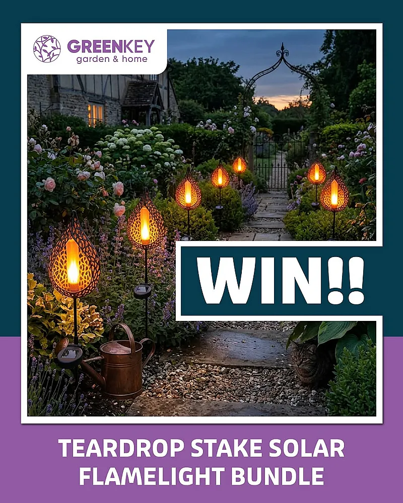 Win 4 Stunning Elipse Stake Solar Lights