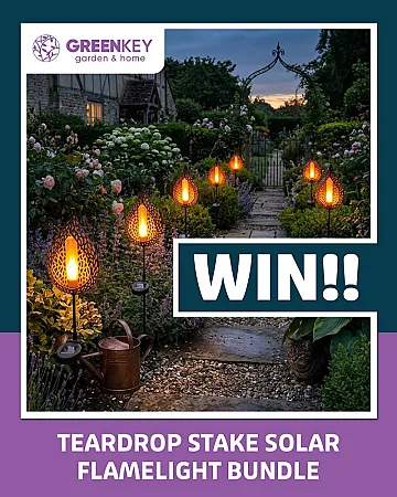 Prize image for Win 4 Stunning Elipse Stake Solar Lights