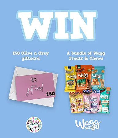 Prize image for Win a £50 Olive & Grey Gift Card + Wagg's Dog Food