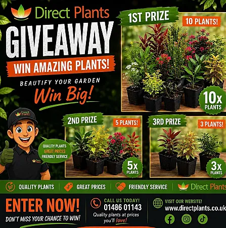 Prize image for Win 10 Hardy Garden Plants