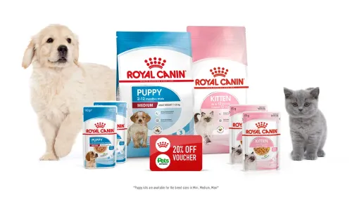 Claim a FREE Royal Canin Sample