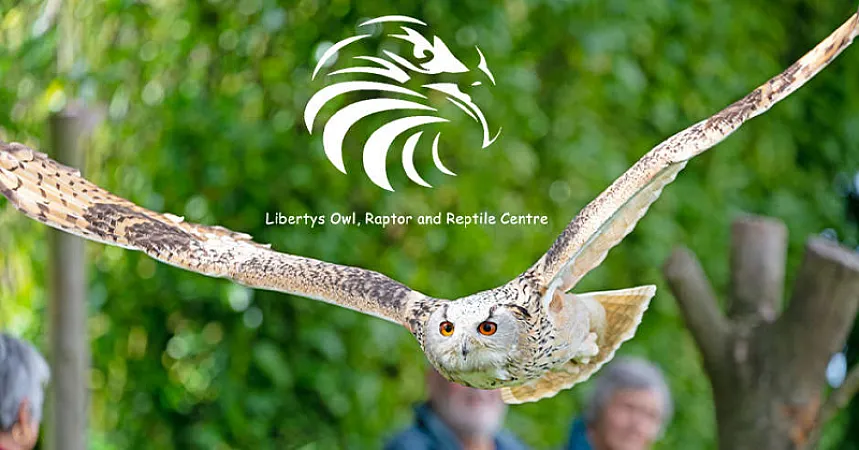 Win Family Tickets to Liberty Owl Centre