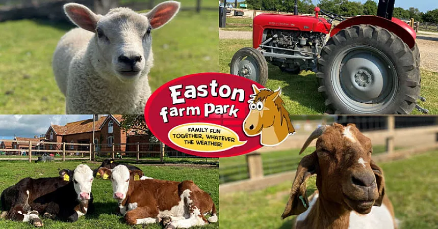 Prize image for Win Family Tickets to Easton Farm Park