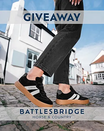 Prize image for Win a Pair of LeMieux Stockbridge Trainers