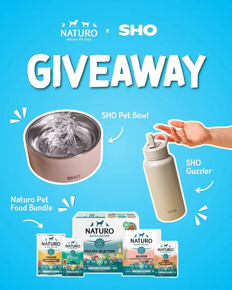 Win a Naturo Wet Food Bundle, a SHO Pet Bowl & a SHO Guzzler