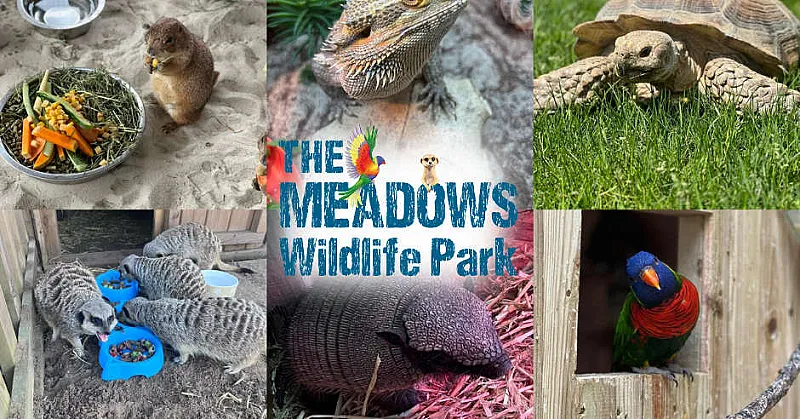 Win Family Experience Voucher at The Meadows Wildlife Park