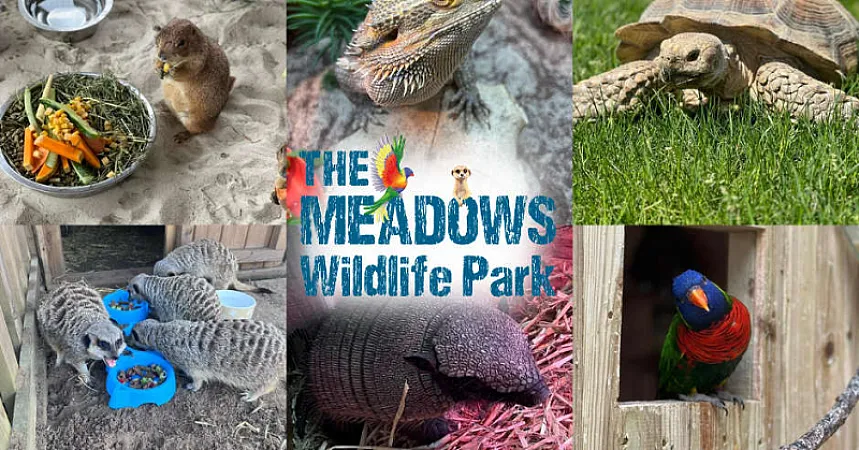 Win Family Experience Voucher at The Meadows Wildlife Park