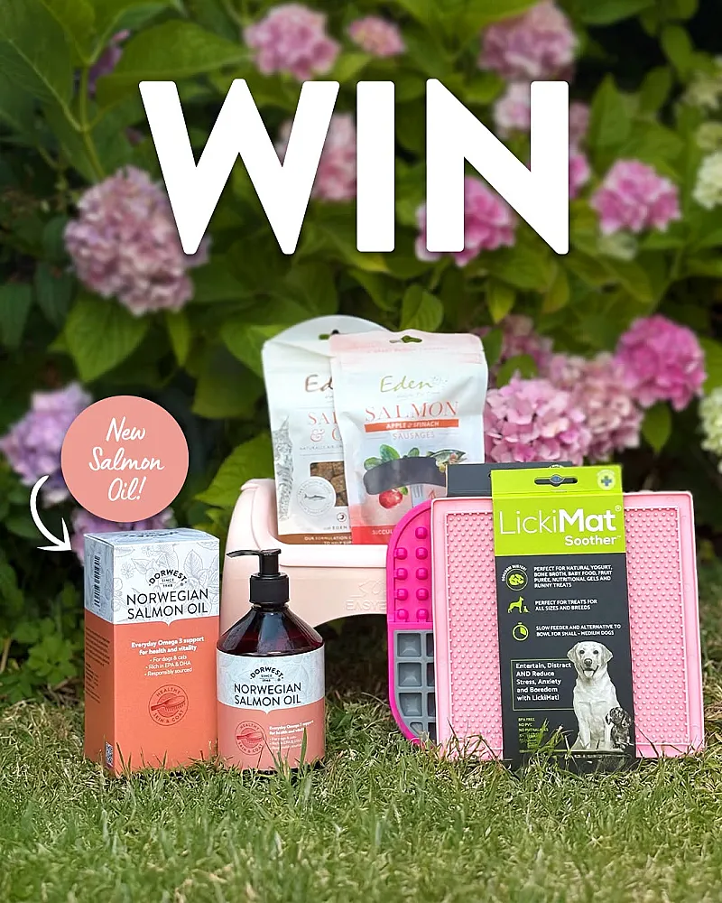 Win a Dog Treats Bundle