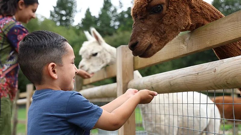 Win a family ticket to Wellington Country Park