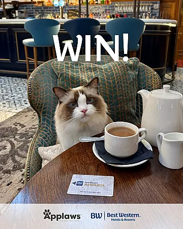 Prize image for Win a Pet Friendly B&B Stay & Month's Supply of Cat Food