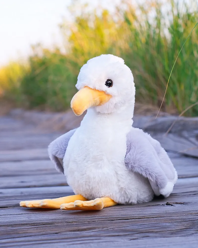 Win Stewie the Seagull