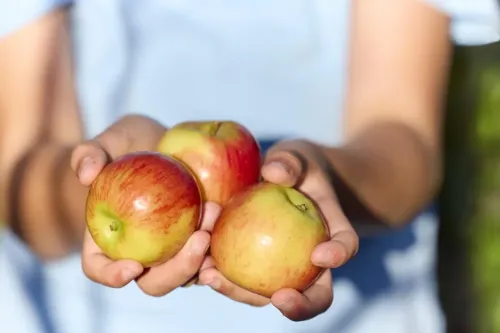 Win a month's supply of Jazz apples