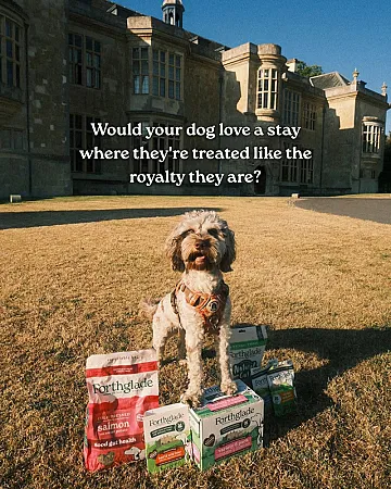 Prize image for Win a 1 Night Stay for Two and Your Dog in Buckinghamshire
