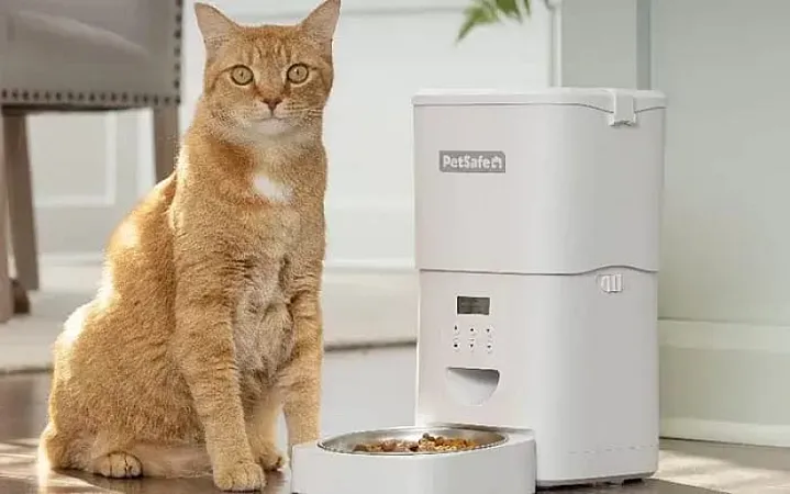 Win a PetSafe Voice-Activated FlexFeed Automatic Pet Feeder