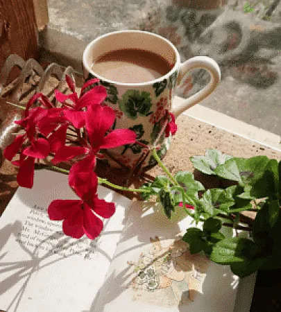 Win 1 of 10 £160 National Book Tokens & Emma Bridgewater x Peter Rabbit mugs