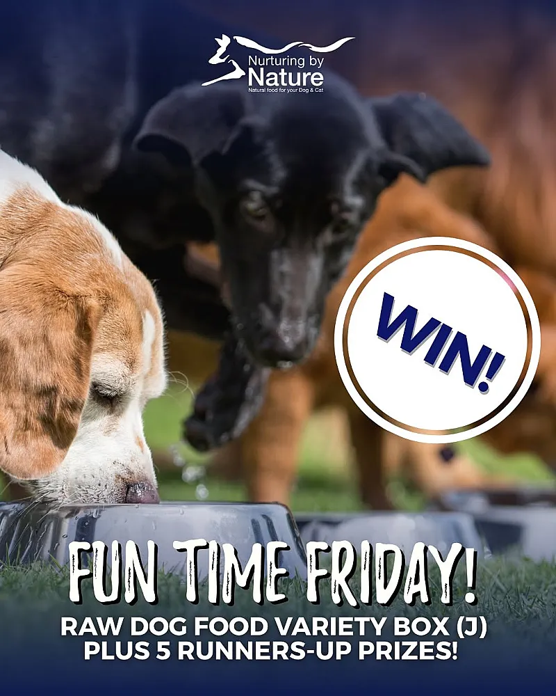 Win a dog food bundle