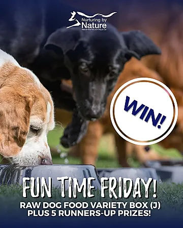 Prize image for Win a dog food bundle