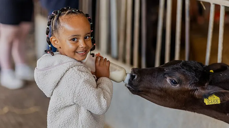 Win a Group Ticket to Longdown Activity Farm