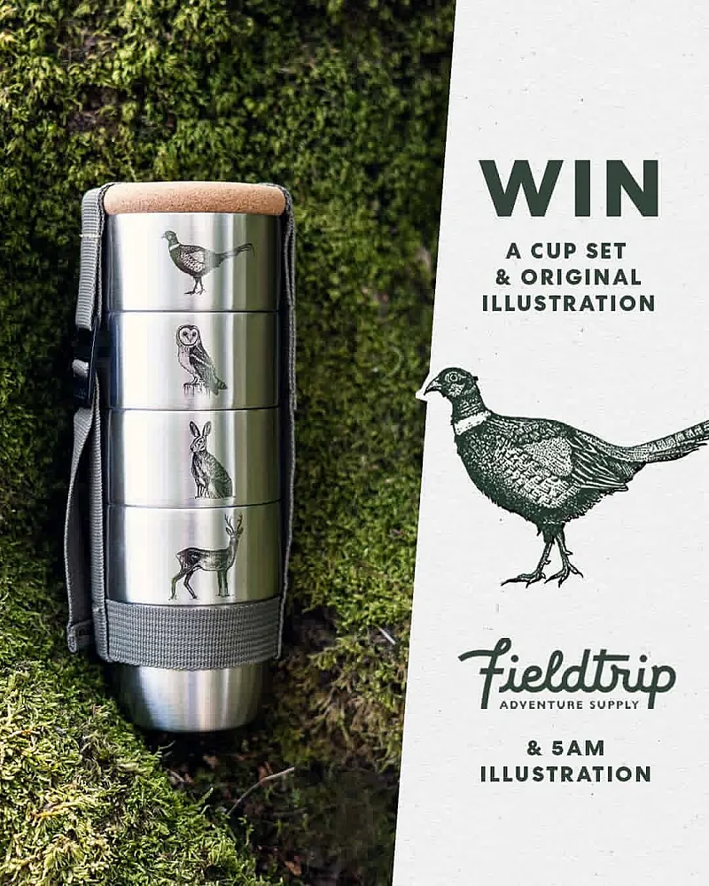 Win a British Wildlife Stainless Steel Cup Set & Original Illustration