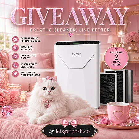 Prize image for Win an EOEBOT HEPA Air Purifier