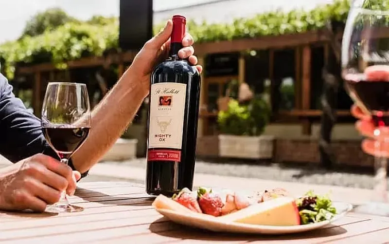 Win a St Hallett Mighty Ox Shiraz Magnum or a £100 Voucher