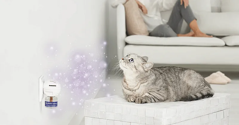 Win £500 Holiday Vouchers