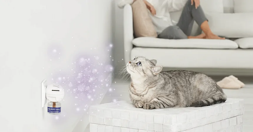 Win £500 Holiday Vouchers