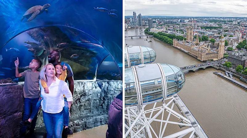 Win Family Tickets for London Eye + Sea Life London