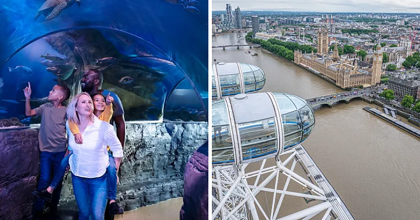 Win 1 of 4 family days out to the London Eye and SEA LIFE London Aquarium