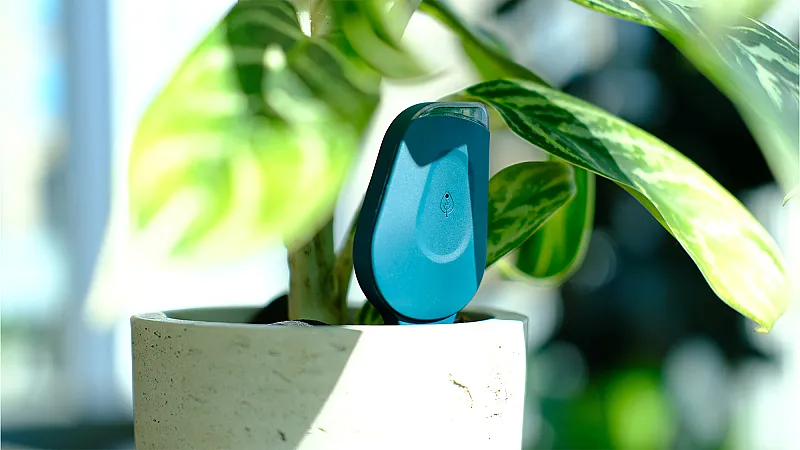 Win SmartyPlants Houseplant Sensors