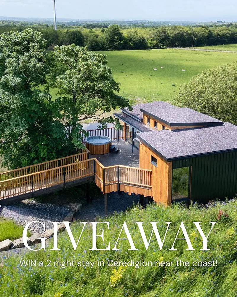 Win a 2 Night Stay at the Incredible Kingfishers Treehouse in Ceredigion