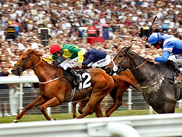 Win 2 Melrose Club Lounge tickets for York Horse Racing