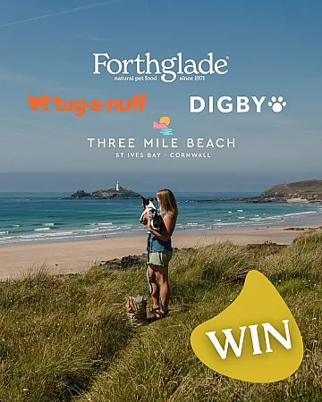 Prize image for Win the Ultimate Dog-Friendly Staycation