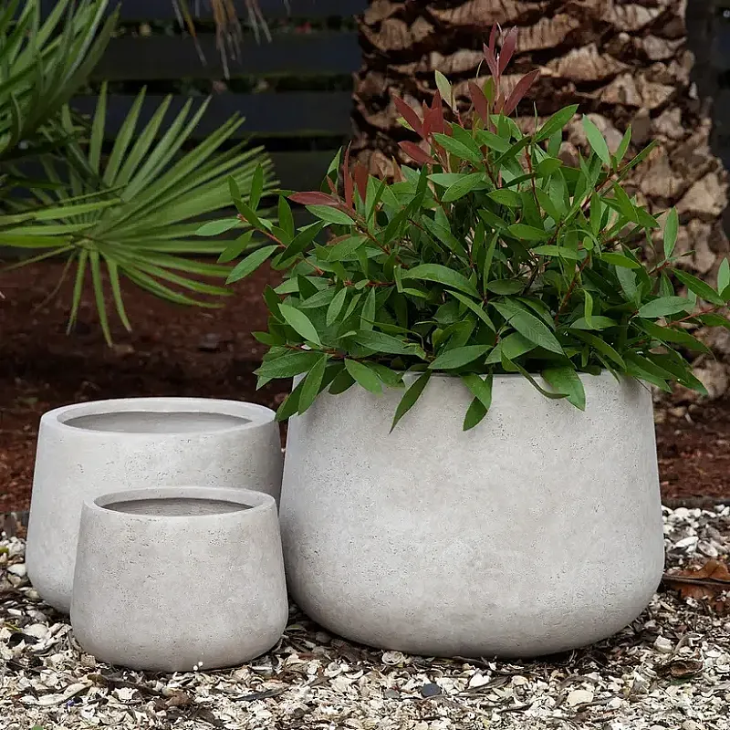 Win a Rustic Short Bowl Planter