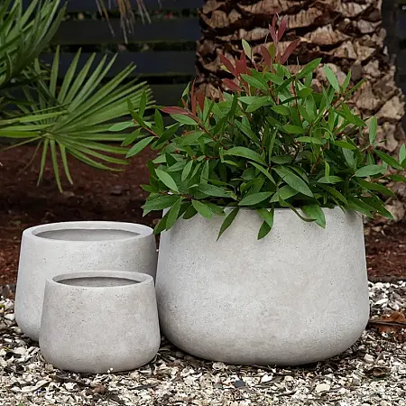 Win a Rustic Short Bowl Planter