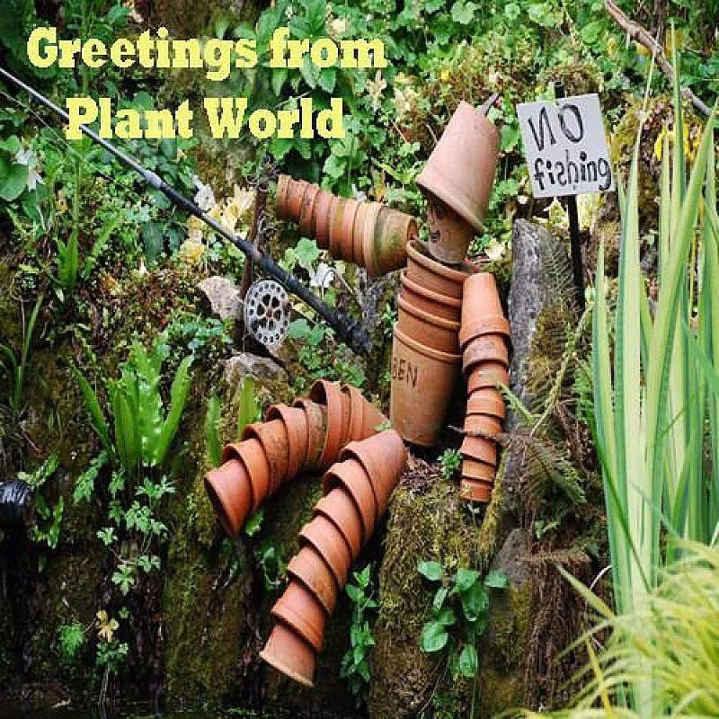 Win £200 to Spend with Plant World Seeds!