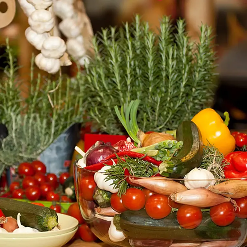 Win a Mediterranean Herb Plant Collection