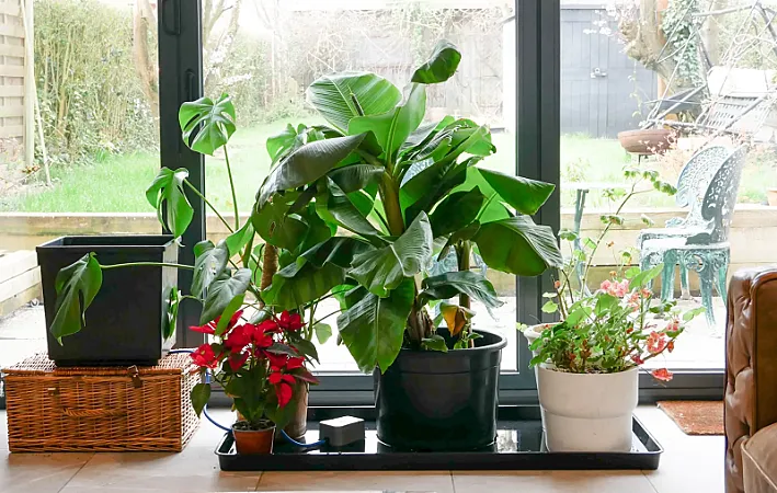 Win easy2GO Holiday Watering Bundles