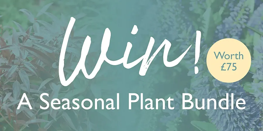 Win a Seasonal Plant Bundle with Hillier
