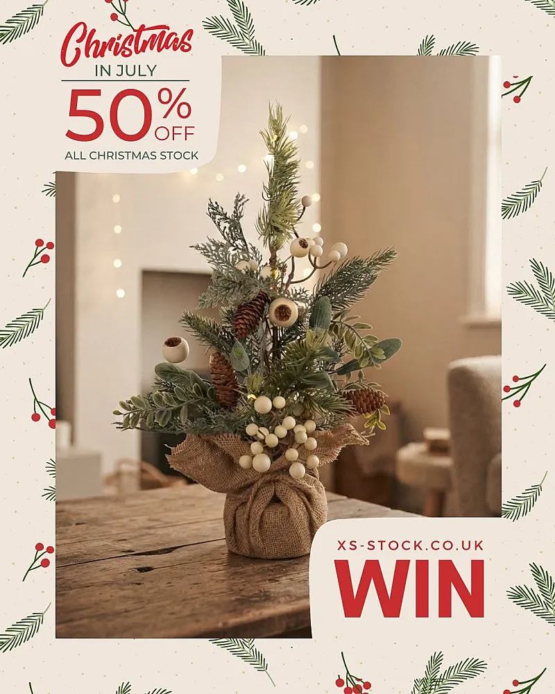 Win a 50cm Light up Snowberry Christmas Tree