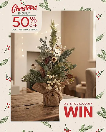 Win a 50cm Light up Snowberry Christmas Tree