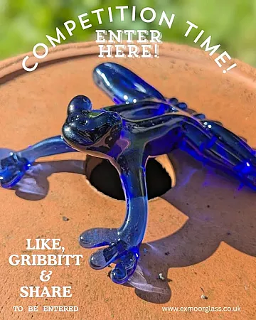 Prize image for Win an Obby Blue Glass Frog