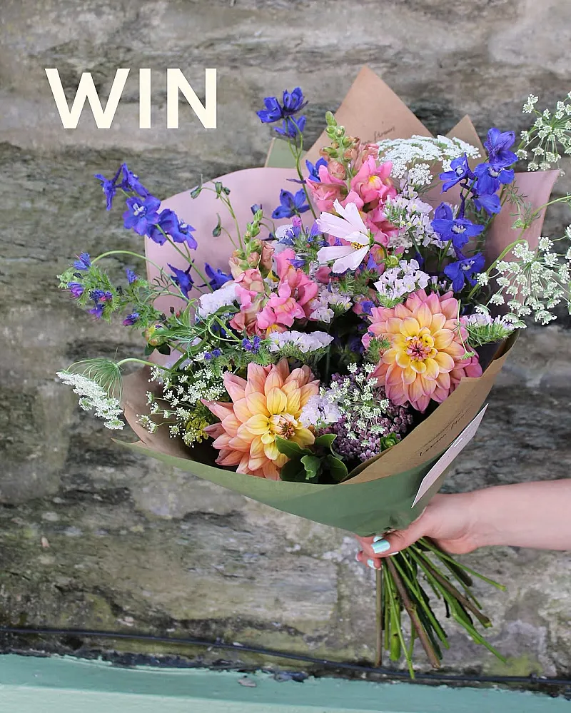Win a Summer Bouquet Featuring Cornish Grown Flowers