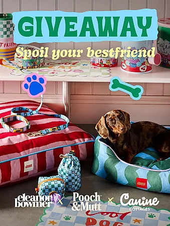 Prize image for Win the ultimate dog prize bundle worth £622